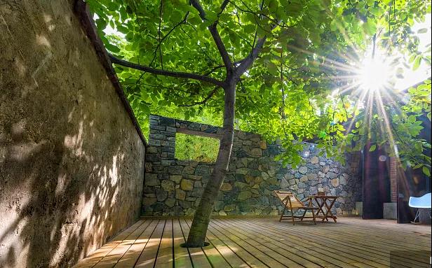 同信·愛家壹號|曾經(jīng)江湖策馬，如今院里觀花！