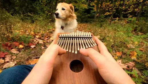 河畔有約丨看見指尖藝術(shù)，聆聽幻彩音符！